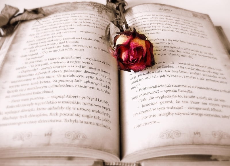 Repurposed Books